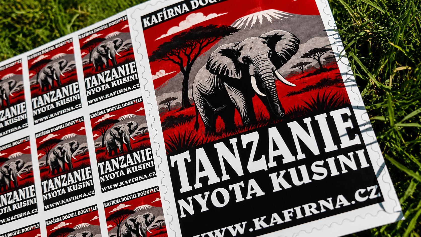 TANZANIE NYOTA KUSINI – africká arabika plná života